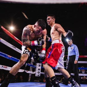 Boxing Wear